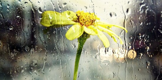 Külək güclənəcək, şimşək çaxacaq - PROQNOZ