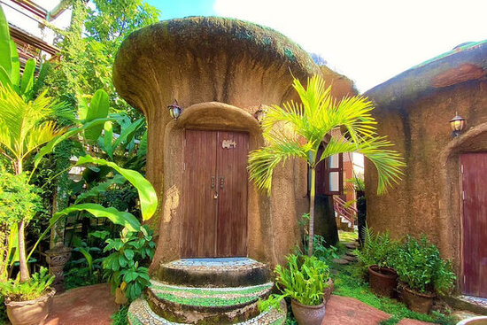 Dünyanın ən qəribə evləri: Bambuk sığınacaq, "göbələk" daxma, "gitara" malikanə... - FOTO