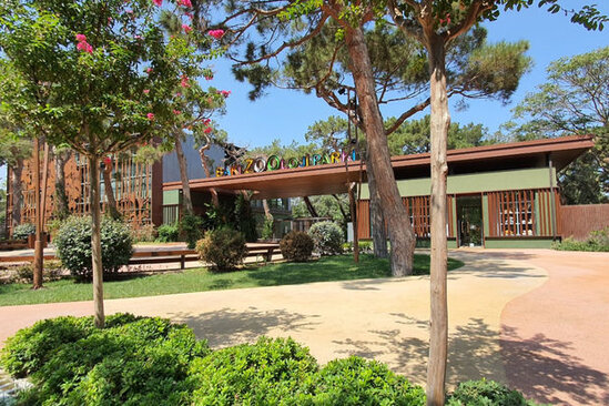 Bakı Zooloji Parkında 1 iyun şənliyi