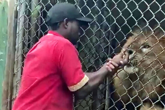 Şirlə "zarafat" baha başa gəldi - VİDEO