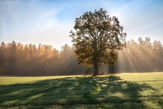 Bazar günü hava necə olacaq?