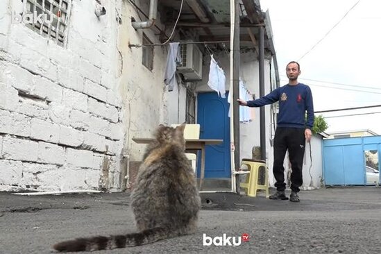 Bakıdakı "Korlar məhəlləsi": Cəmi 20 ailə yaşayır - VİDEO