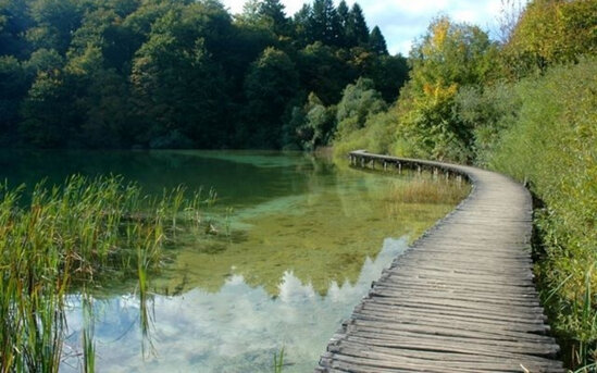 Əhalinin NƏZƏRİNƏ! - Bu gün bu yerlər PULSUZ OLACAQ