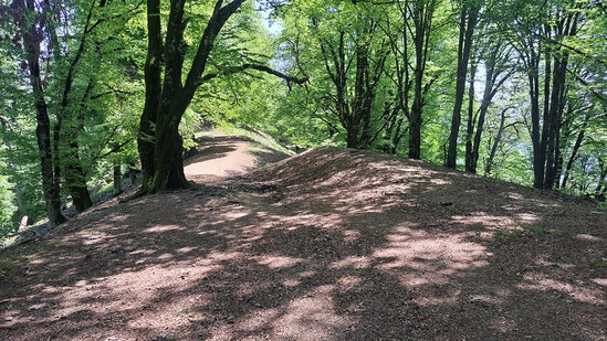 Hindistanlı turist Zaqatalada necə itkin düşüb - TƏFƏRRÜAT