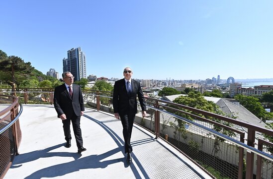 Prezident Bakıda yeni salınmış parkda - FOTOLAR