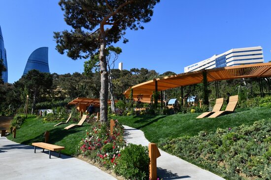 Prezident Bakıda yeni salınmış parkda - FOTOLAR