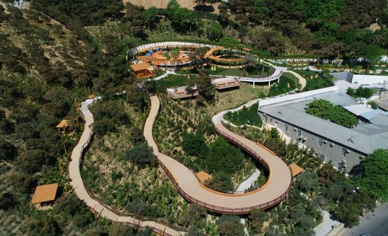 Prezident Bakıda yeni salınmış parkda - FOTOLAR