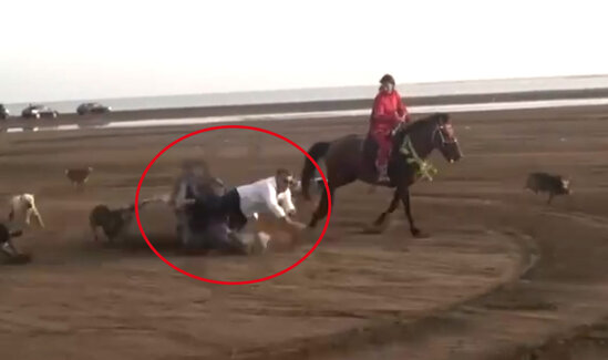 Atdan yıxılaraq xəsarət alan Cəlal Qurbanov evə buraxıldı - VİDEO