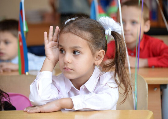 Tədris digər dillərdə aparılan siniflər üçün məktəb və müəllim seçimi başlayıb