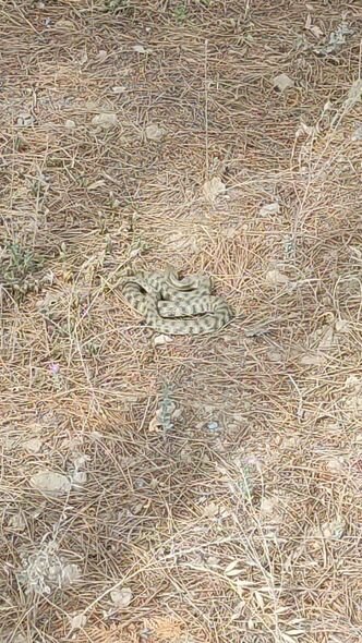 Universitetdə müzakirələrə səbəb olan ilan elanı ilə bağlı AÇIQLAMA - FOTO