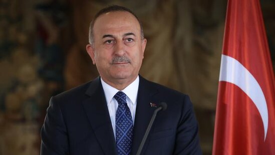 Çavuşoğlu Balkan ölkələrinə səfər edəcək