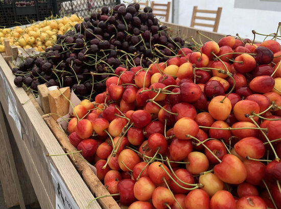 Bu ünvanlarda yarmarkalar keçiriləcək - FOTO