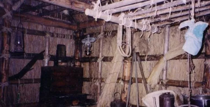 Ayı dəhşət saçdı: Mədəsindən çıxanlar ŞOKA SALDI