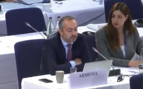 Erməni deputat ATƏT PA üzvlərini təhqir etdi