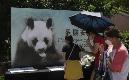 Dünyanın ən yaşlı pandası öldü: Səbəb yüksək xolesterol