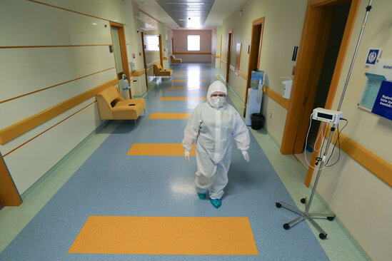 Azərbaycanda meymunçiçəyinə yoluxma qeydə alınıb? - RƏSMİ CAVAB