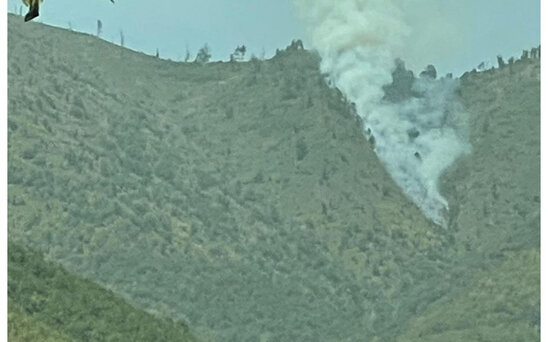 FHN: "Şəkidə yanğının söndürülməsi əməliyyatları davam edir"
