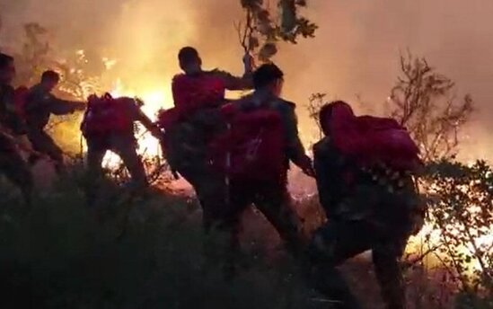 Azərbaycanda baş verən 6 yanğının qəsdən törədildiyi aşkarlandı