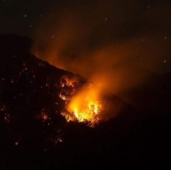 Yanğın Zaqatala təbiətini belə dəyişdi-MÜƏLLİFİN GÖZÜNDƏN