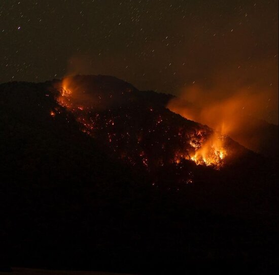 Yanğın Zaqatala təbiətini belə dəyişdi-MÜƏLLİFİN GÖZÜNDƏN