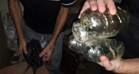 Lənkəranda narkotiklərin dövriyyəsinə qarşı əməliyyatlarda 22 nəfər saxlanılıb