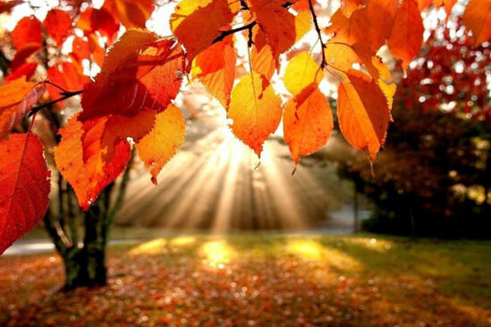 Bakıda 27, bölgələrdə 33 dərəcə isti olacaq