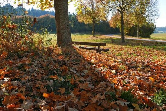 Sabahın hava proqnozu açıqlanıb