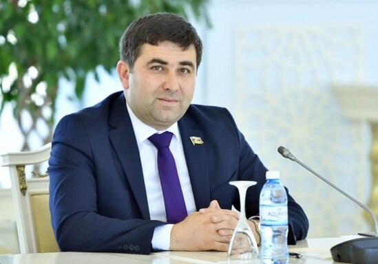 Deputat şəhid övladlarına şamil edilən imtiyazlara düzəliş edilməsini təklif edib