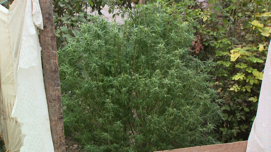 Azərbaycanda ŞOK HADİSƏ: Kişini oğurlayıb zəncirlədilər, döydülər, sonra... - VİDEO