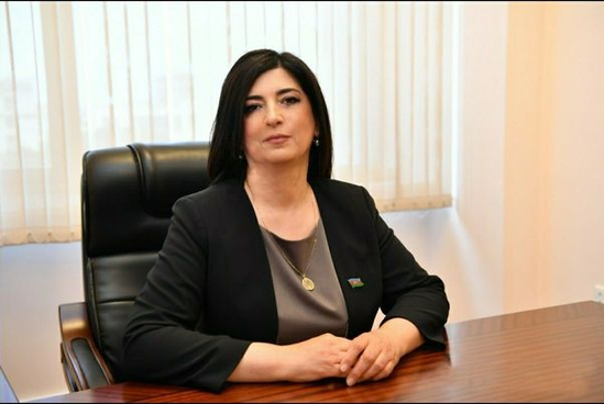 "Azərbaycanla Gürcüstanın enerji sahəsində fəaliyyəti hər iki dövlətin milli maraqlarına cavab verir" - Deputat