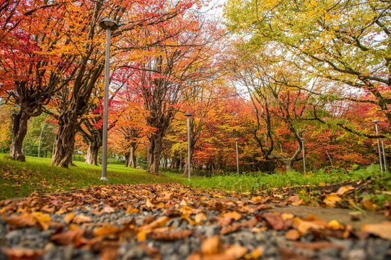 Sabahın hava proqnozu
