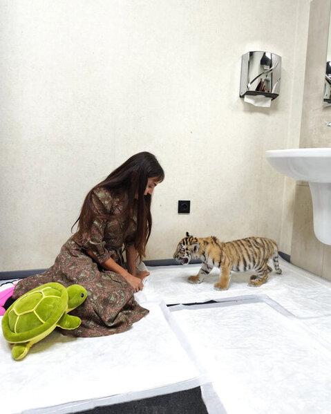 Leyla Əliyeva Bakı Zooloji Parkında olub - FOTO