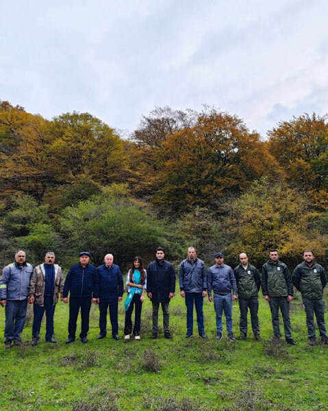 Leyla Əliyevanın iştirakı ilə Şahdağ Milli Parkına marallar buraxılıb - FOTO/VİDEO