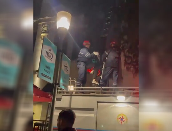 Pişiyi düşürmək istədi, özü ağacda qaldı - VİDEO