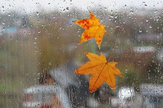 Sabahın hava proqnozu AÇIQLANDI