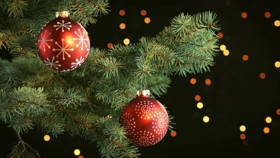 DİQQƏT! Əhaliyə Yeni illə bağlı XƏBƏRDARLIQ EDİLDİ - RƏSMİ