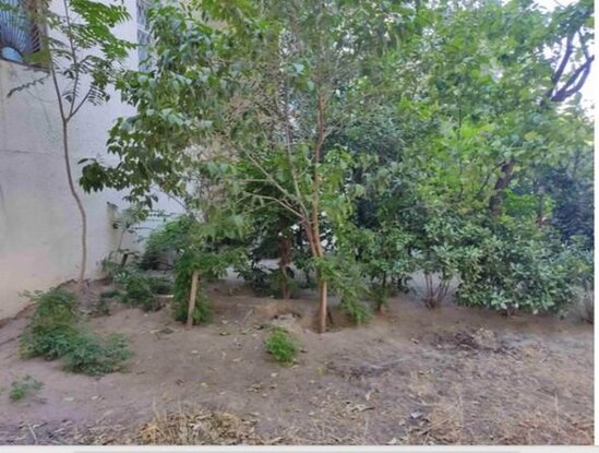 Azərbaycanda vəzifəli şəxs zibilliyə görə CƏZALANDIRILDI - FOTO