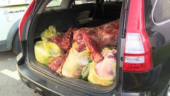 "Bandotdel"dən əməliyyat: Saxlanılan var - FOTO/VİDEO