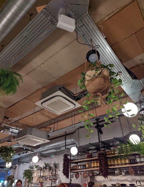 Ziya Məmmədovun oğlunun Londondakı lüks restoranları - FOTOLAR