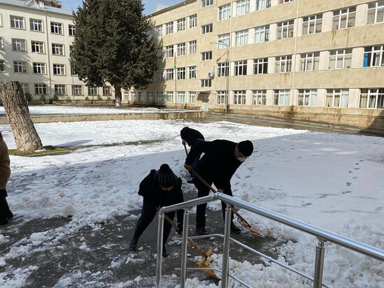 Qarlı havanın dərsə davamiyyətə təsiri açıqlanıb - RƏSMİ
