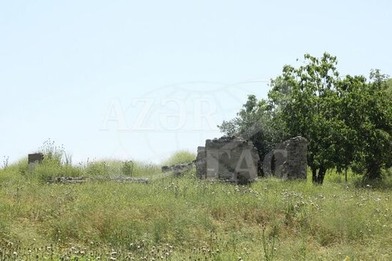 Qubadlı rayonunun Qaraqoyunlu kəndi - FOTO