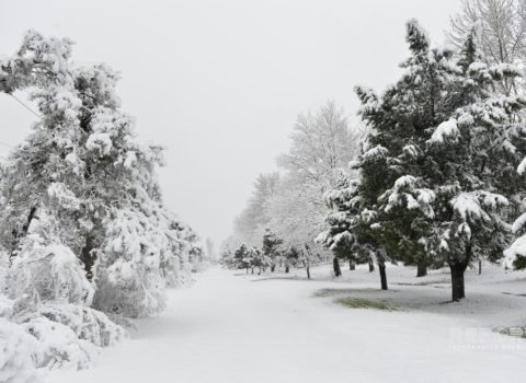 Azərbaycanda müşahidə edilən FAKTİKİ HAVA
