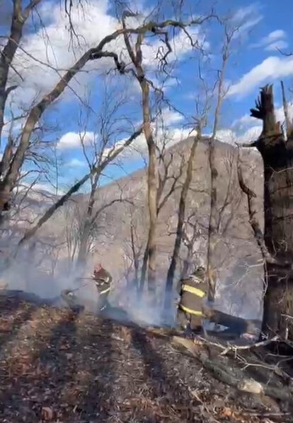 Azərbaycanda meşə yanır - FOTO