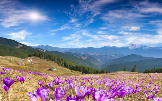 Sabah 18° isti olacaq