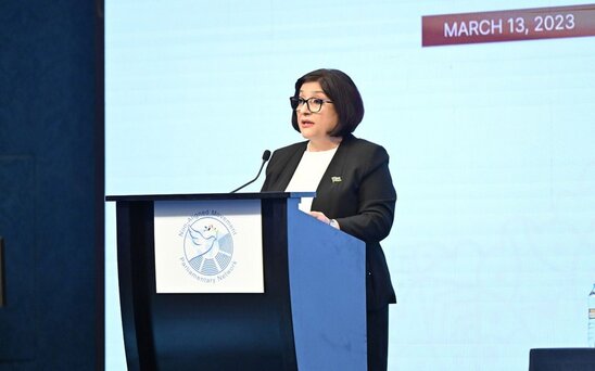 Qoşulmama Hərəkatının Parlament Şəbəkəsinin konfransında Manama Bəyannaməsi qəbul olunub