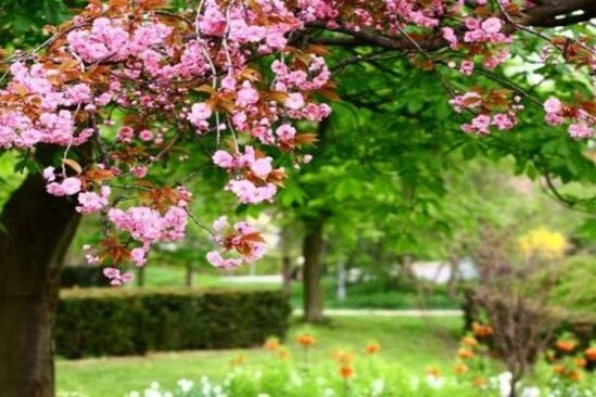 Sabahın hava proqnozu AÇIQLANDI