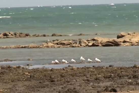 Sumqayıt bulvarında qorxulu MƏNZƏRƏ - VİDEO