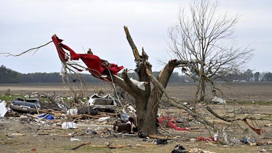 Yeni Zelandiyada baş verən tornadoda 50-yə yaxın evə ziyan dəyib