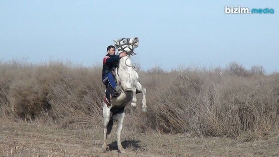 Qarabağ atlarını 30 ildir qoruyan Ağdam sakini: "Qayıdacağımıza əmin idik" - FOTO