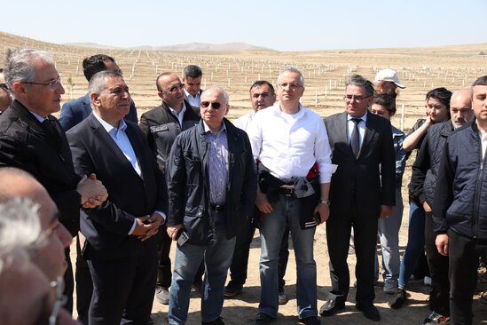 Media nümayəndələrinin iştirakı ilə ağacəkmə aksiyası keçirildi - FOTO